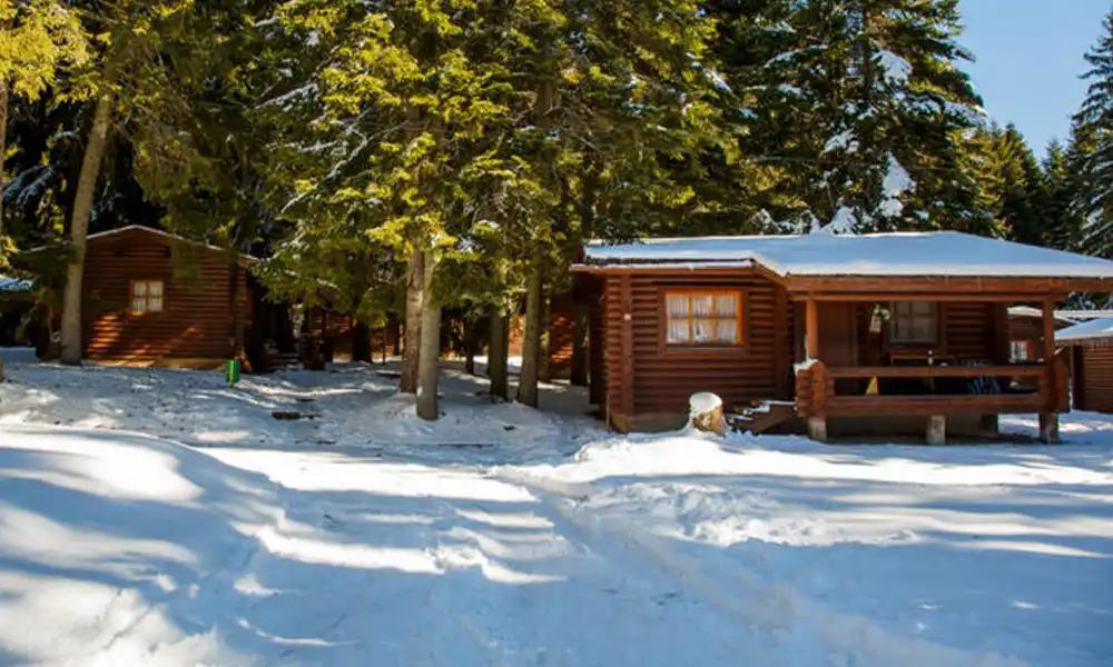 Villa Yagoda